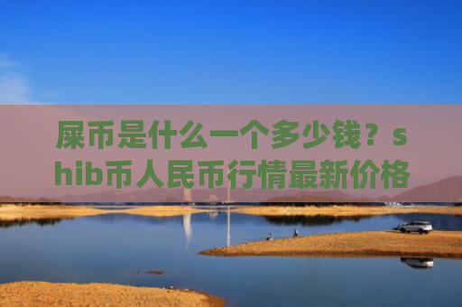 屎币是什么一个多少钱？shib币人民币行情最新价格走势(现价0.00023105元)