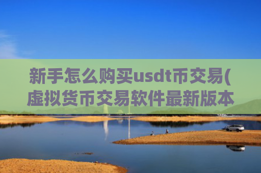 新手怎么购买usdt币交易(虚拟货币交易软件最新版本)