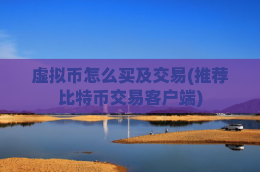 虚拟币怎么买及交易(推荐比特币交易客户端)