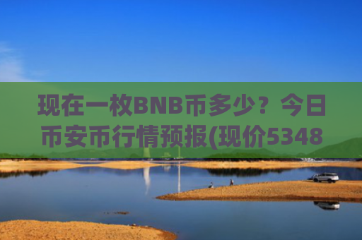 现在一枚BNB币多少?今日币安币行情预报(现价5348.37元)
