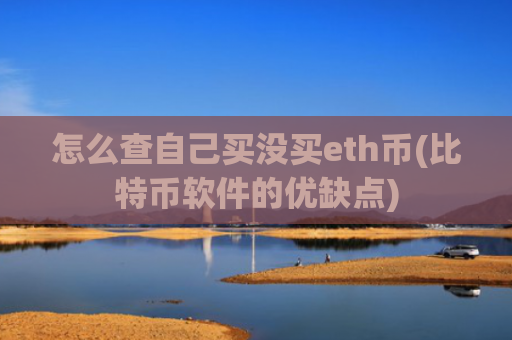 怎么查自己买没买eth币(比特币软件的优缺点)