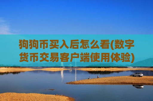 狗狗币买入后怎么看(数字货币交易客户端使用体验)