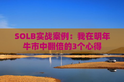 SOLB实战案例：我在明年牛市中翻倍的3个心得