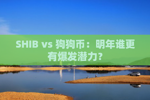 SHIB vs 狗狗币：明年谁更有爆发潜力？