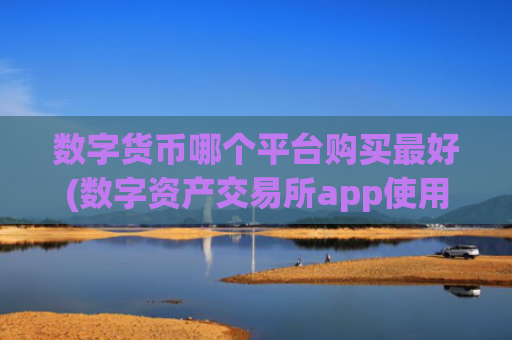数字货币哪个平台购买最好(数字资产交易所app使用技巧)