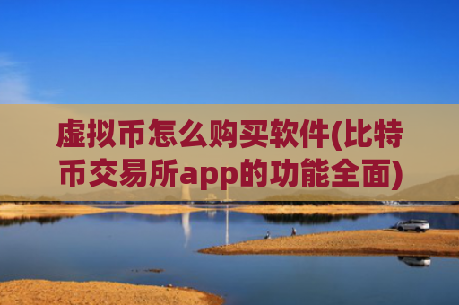 虚拟币怎么购买软件(比特币交易所app的功能全面)