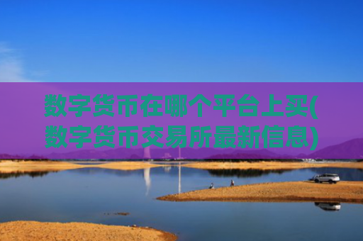 数字货币在哪个平台上买(数字货币交易所最新信息)