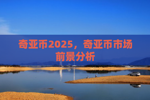 奇亚币2025,奇亚币市场前景分析