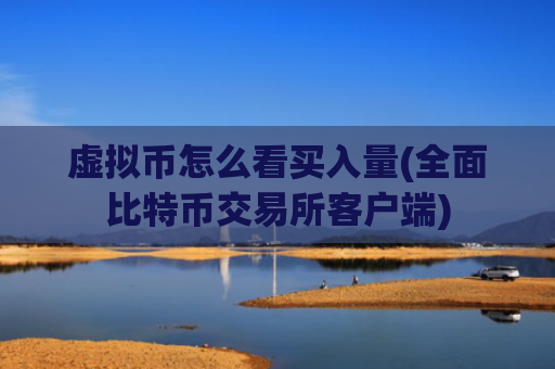 虚拟币怎么看买入量(全面比特币交易所客户端)