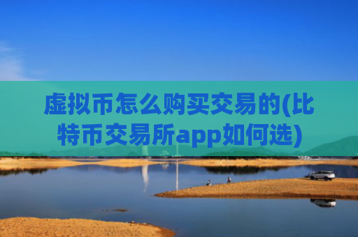 虚拟币怎么购买交易的(比特币交易所app如何选)