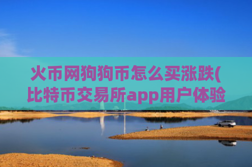 火币网狗狗币怎么买涨跌(比特币交易所app用户体验优化)