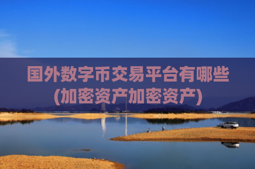 国外数字币交易平台有哪些(加密资产加密资产)