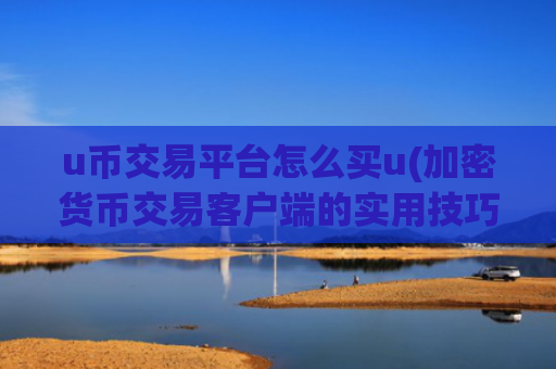 u币交易平台怎么买u(加密货币交易客户端的实用技巧)