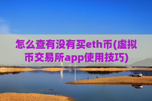 怎么查有没有买eth币(虚拟币交易所app使用技巧)