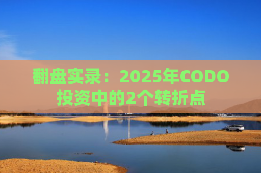 翻盘实录：2025年CODO投资中的2个转折点