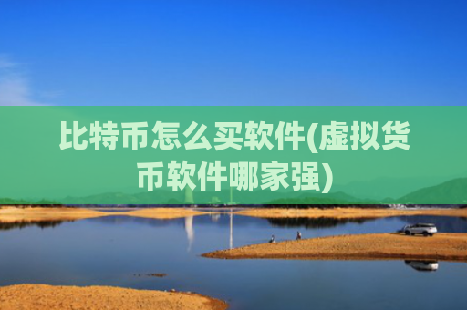 比特币怎么买软件(虚拟货币软件哪家强)
