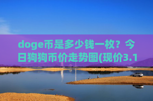 doge币是多少钱一枚?今日狗狗币价走势图(现价3.1249元)