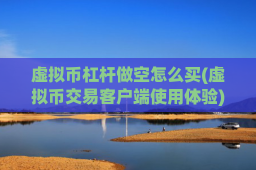 虚拟币杠杆做空怎么买(虚拟币交易客户端使用体验)