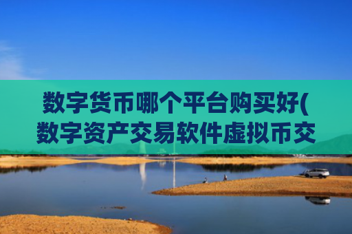 数字货币哪个平台购买好(数字资产交易软件虚拟币交易所)
