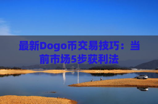 最新Dogo币交易技巧：当前市场5步获利法
