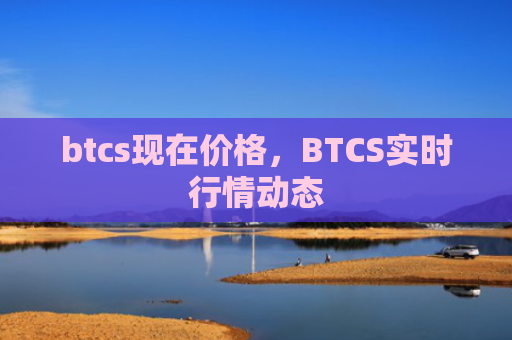 btcs现在价格,BTCS实时行情动态