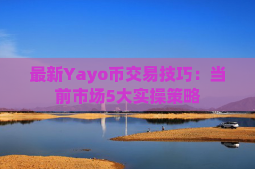 最新Yayo币交易技巧：当前市场5大实操策略