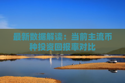 最新数据解读：当前主流币种投资回报率对比