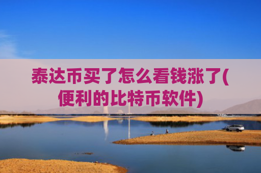 泰达币买了怎么看钱涨了(便利的比特币软件)