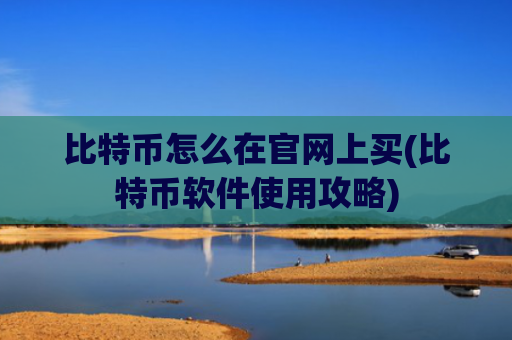比特币怎么在官网上买(比特币软件使用攻略)