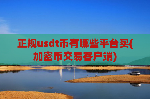 正规usdt币有哪些平台买(加密币交易客户端)
