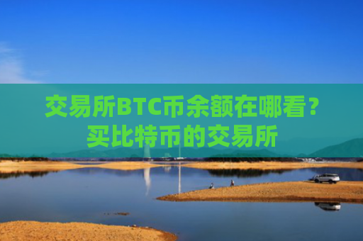 交易所BTC币余额在哪看?买比特币的交易所