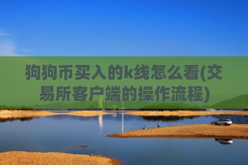 狗狗币买入的k线怎么看(交易所客户端的操作流程)