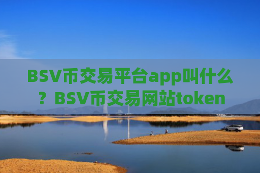 BSV币交易平台app叫什么?BSV币交易网站token