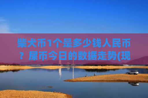 柴犬币1个是多少钱人民币?屎币今日的数据走势(现价0.00022189元)