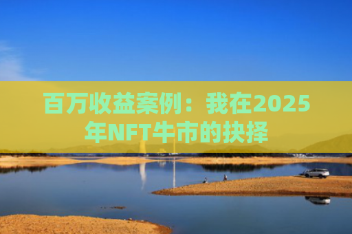 百万收益案例：我在2025年NFT牛市的抉择