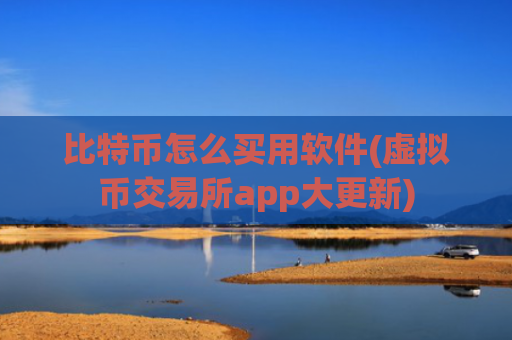 比特币怎么买用软件(虚拟币交易所app大更新)