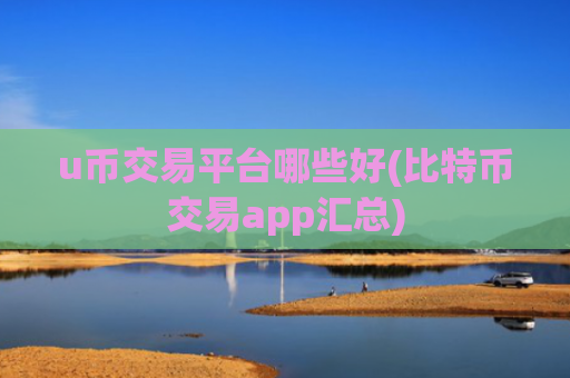u币交易平台哪些好(比特币交易app汇总)