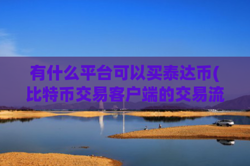 有什么平台可以买泰达币(比特币交易客户端的交易流程简介)