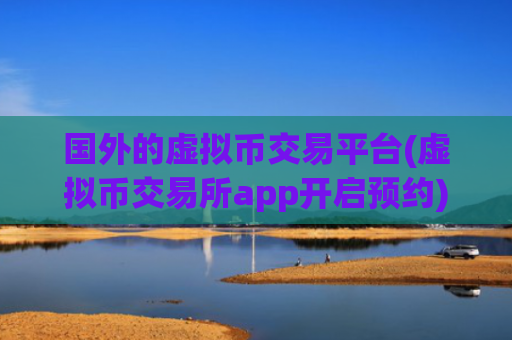 国外的虚拟币交易平台(虚拟币交易所app开启预约)