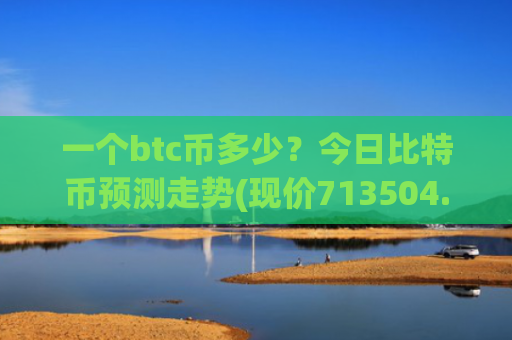 一个btc币多少？今日比特币预测走势(现价713504.21元)