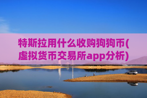 特斯拉用什么收购狗狗币(虚拟货币交易所app分析)