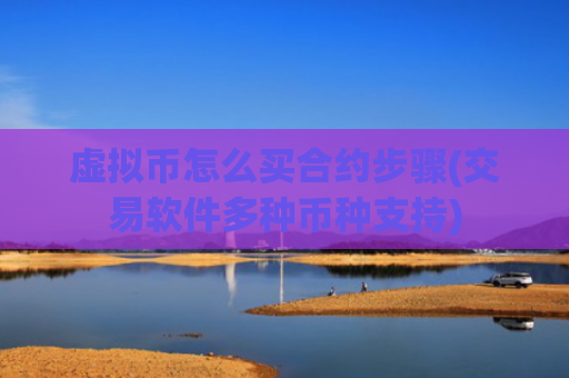 虚拟币怎么买合约步骤(交易软件多种币种支持)