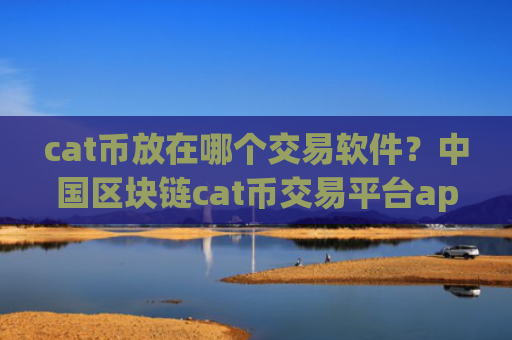 cat币放在哪个交易软件？中国区块链cat币交易平台app