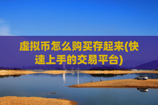 虚拟币怎么购买存起来(快速上手的交易平台)