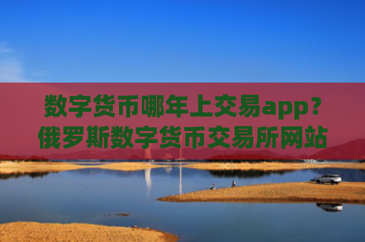 数字货币哪年上交易app？俄罗斯数字货币交易所网站