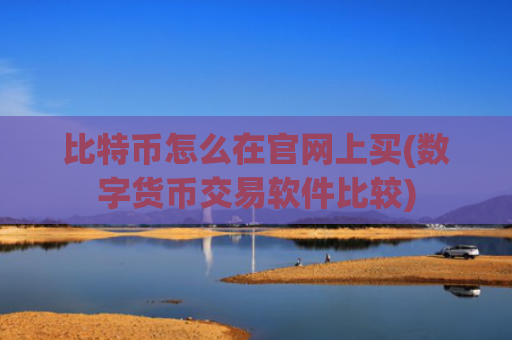 比特币怎么在官网上买(数字货币交易软件比较)