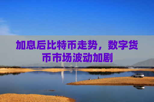 加息后比特币走势,数字货币市场波动加剧