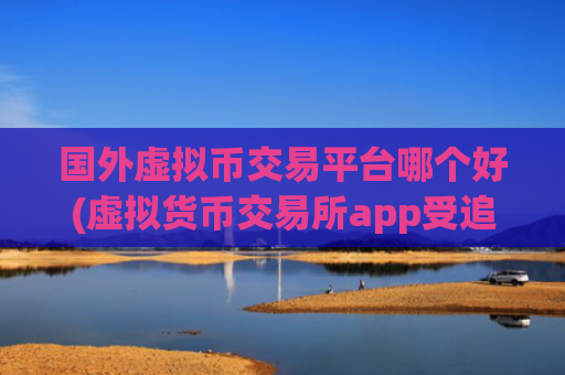 国外虚拟币交易平台哪个好(虚拟货币交易所app受追捧)