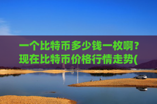 一个比特币多少钱一枚啊?现在比特币价格行情走势(现价714957.79元)