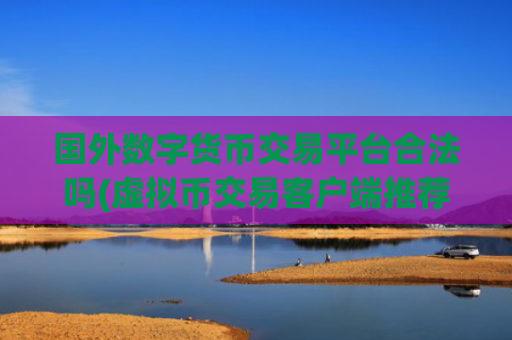 国外数字货币交易平台合法吗(虚拟币交易客户端推荐排行)